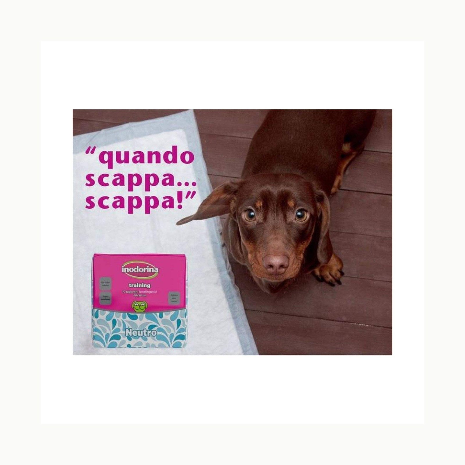 Inodorina Tappetini igienici per Cani \(60x60 cm, 40 Pezzi\) – Travers