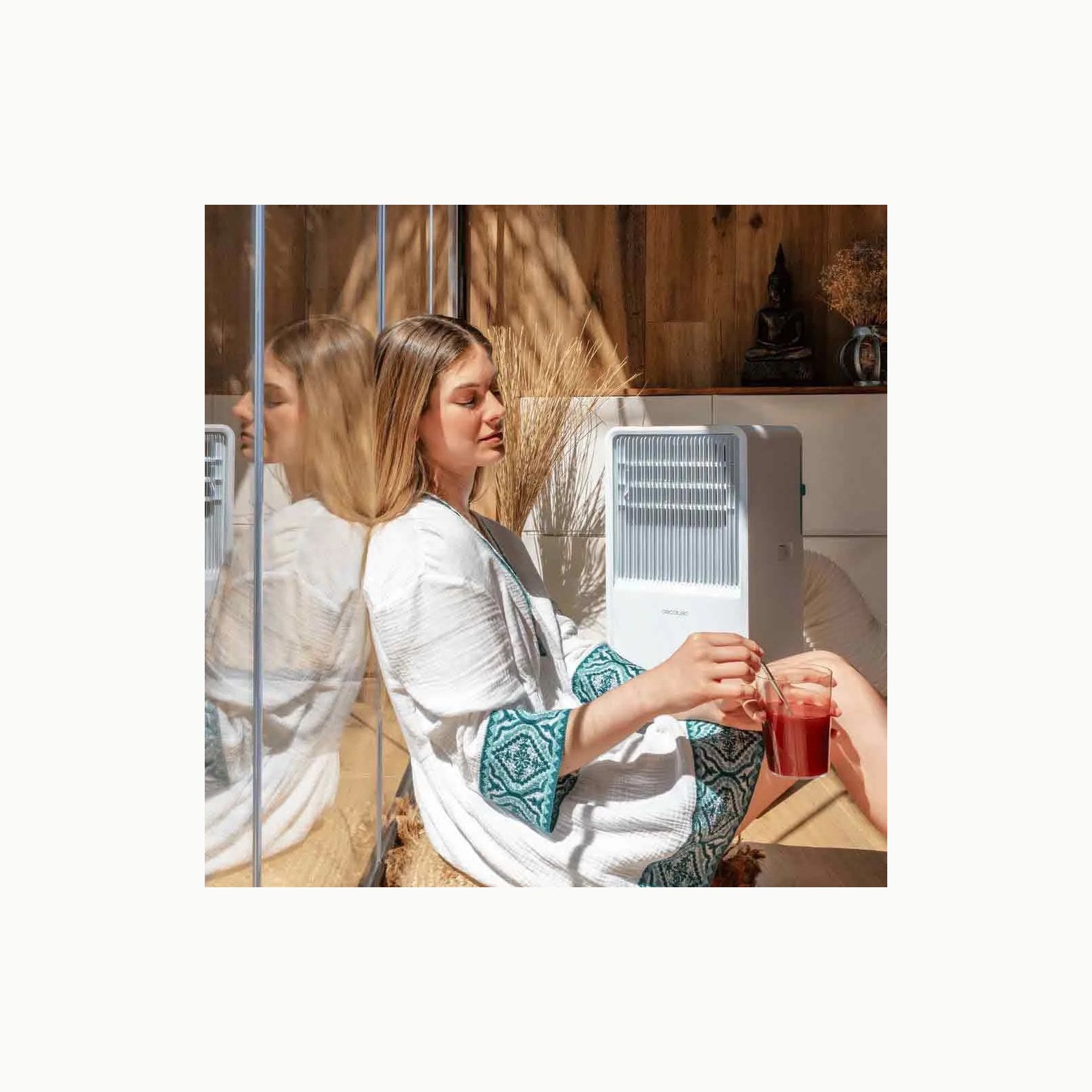 Cecotec Aire Acondicionado Portátil con Mando y Bomba de Calor ForceCl