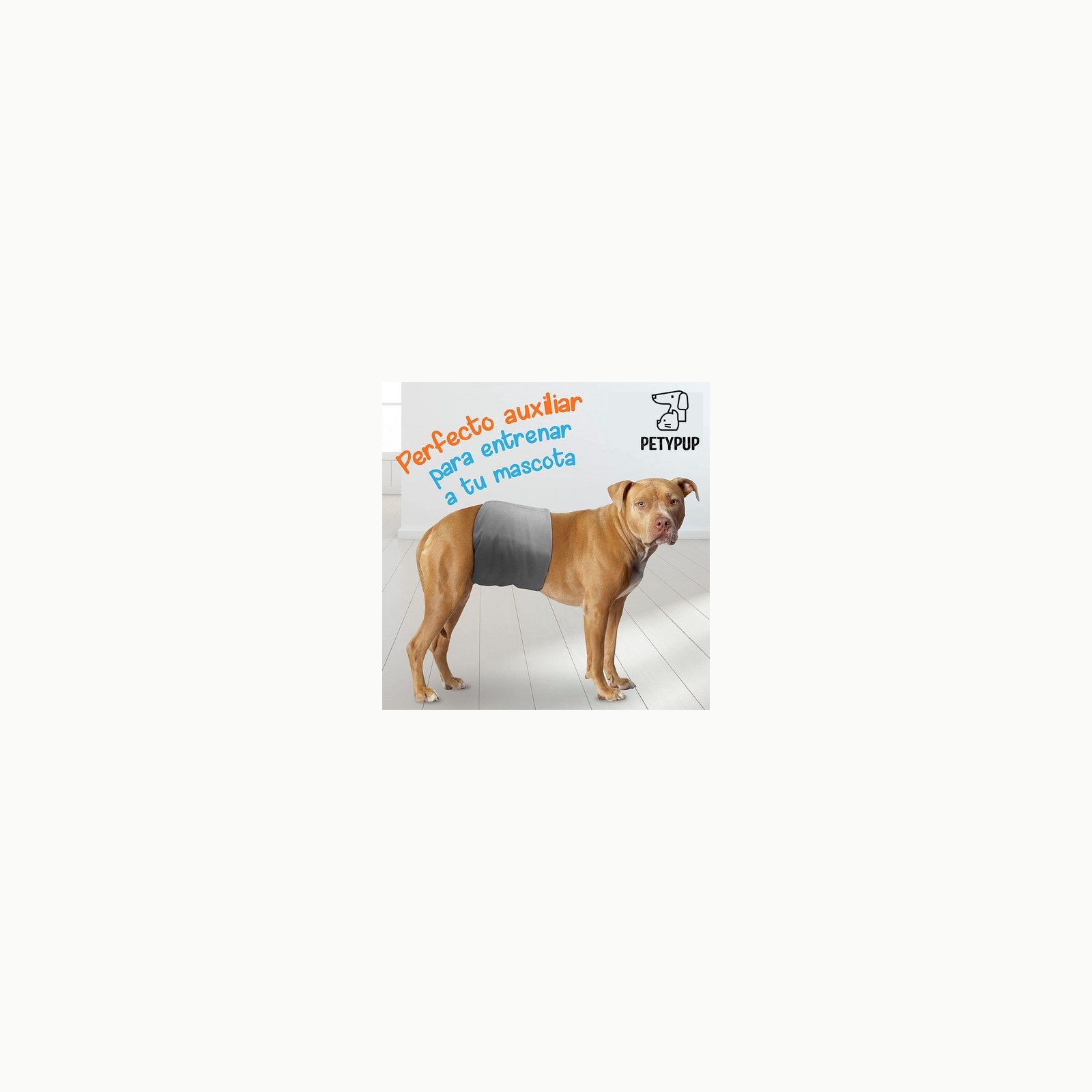 Pañales Desechables Perros Pet Soft Pañales Desechables para Perros, 2