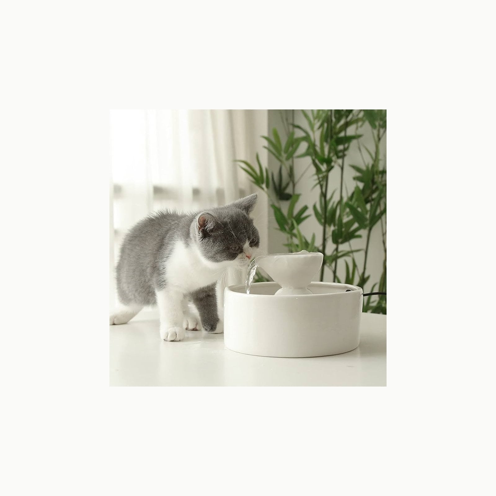 GIOTOHUN - Fuente de agua para gato de 2 l, ultrasilenciosa, con 6