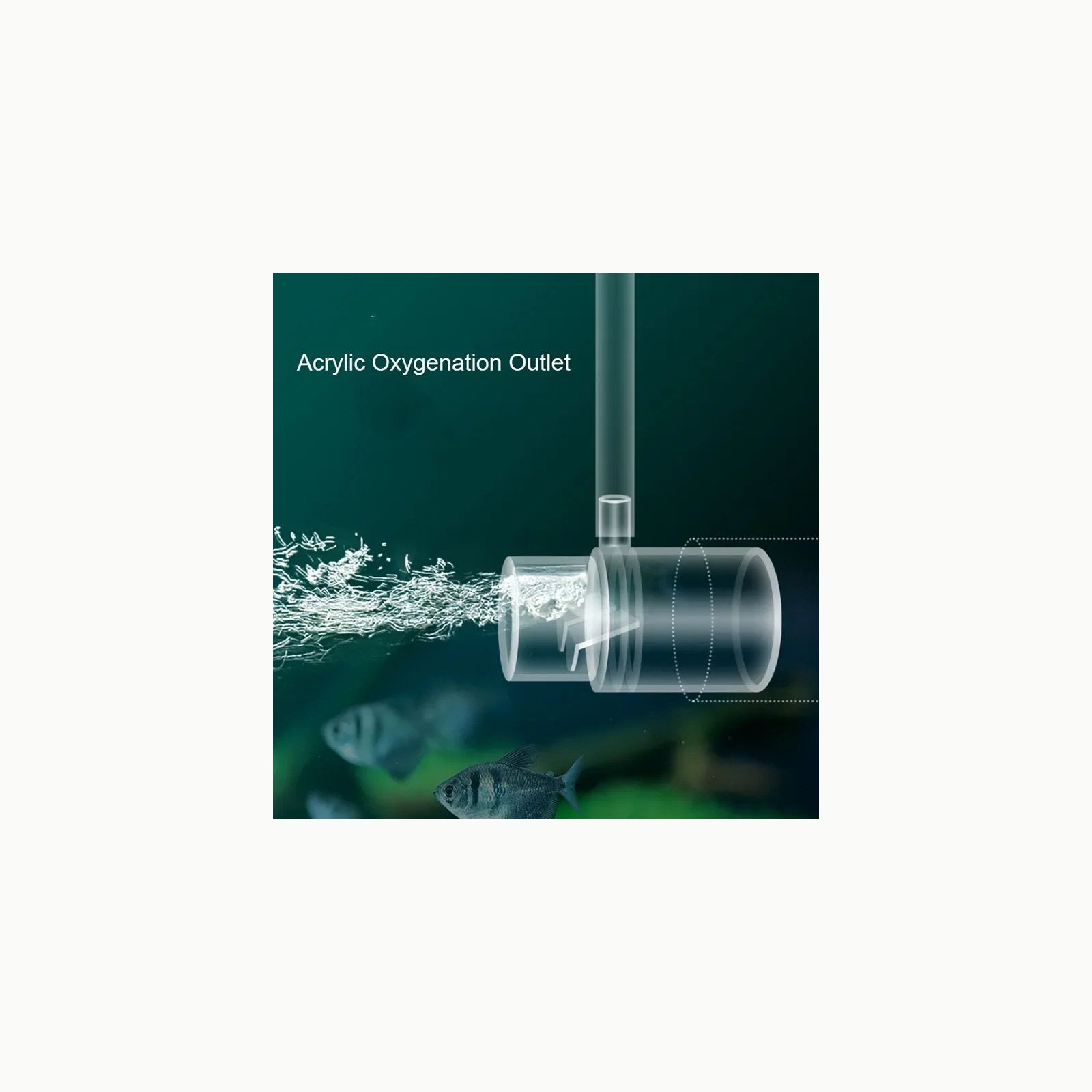 Pompa para acuario QL-638 transparente