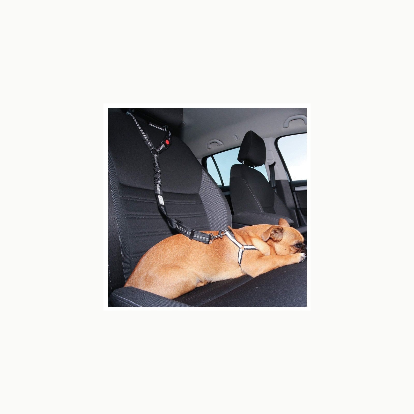 Iokheira cinturón de Seguridad para Perros, cinturón de Seguridad para