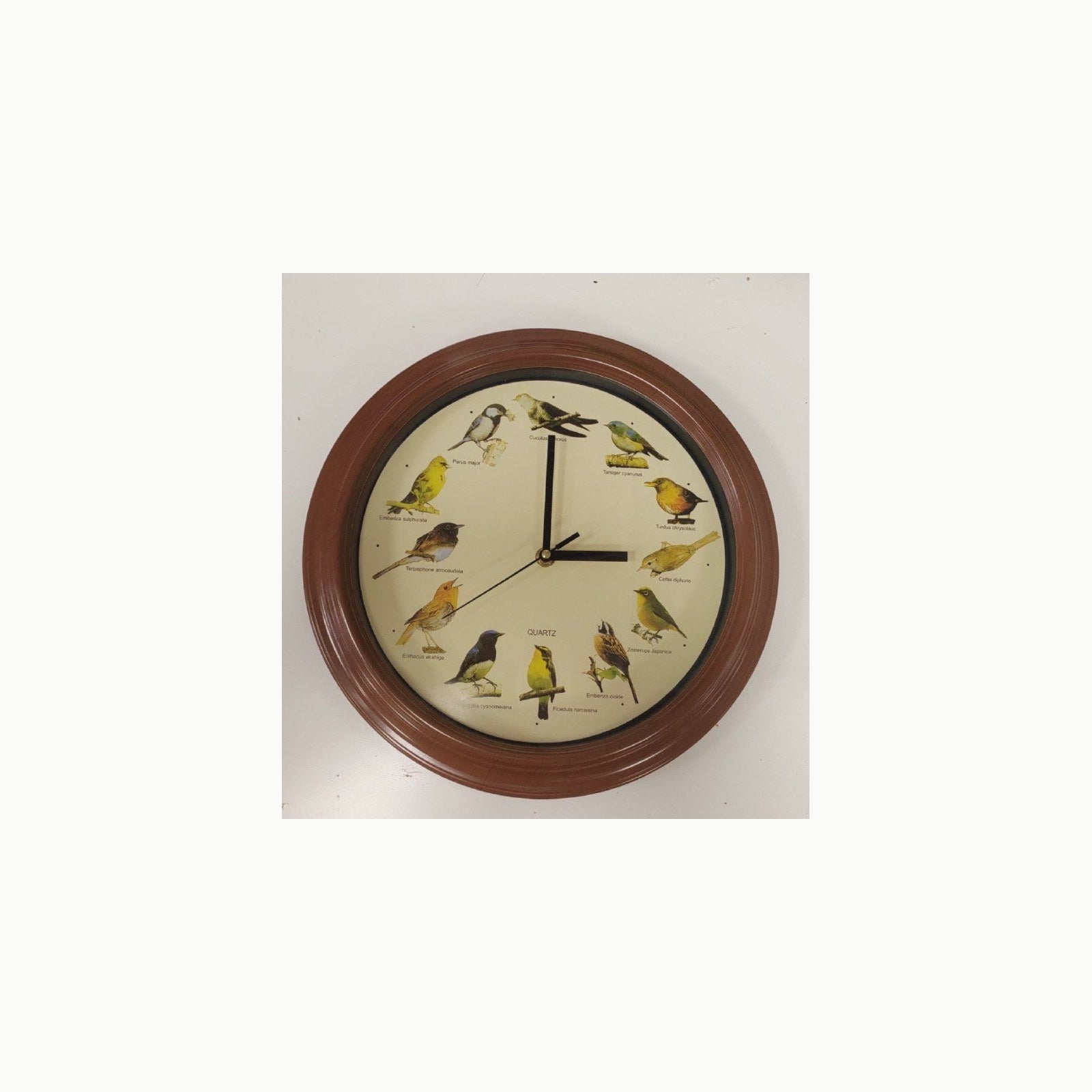 Out of the blue 79-3151 - Orologio da parete in plastica con i suoni