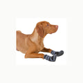 Pfotenschutz Active XL Kerbl Pet Pfotenschutz Active Gr. XL, grau/schw