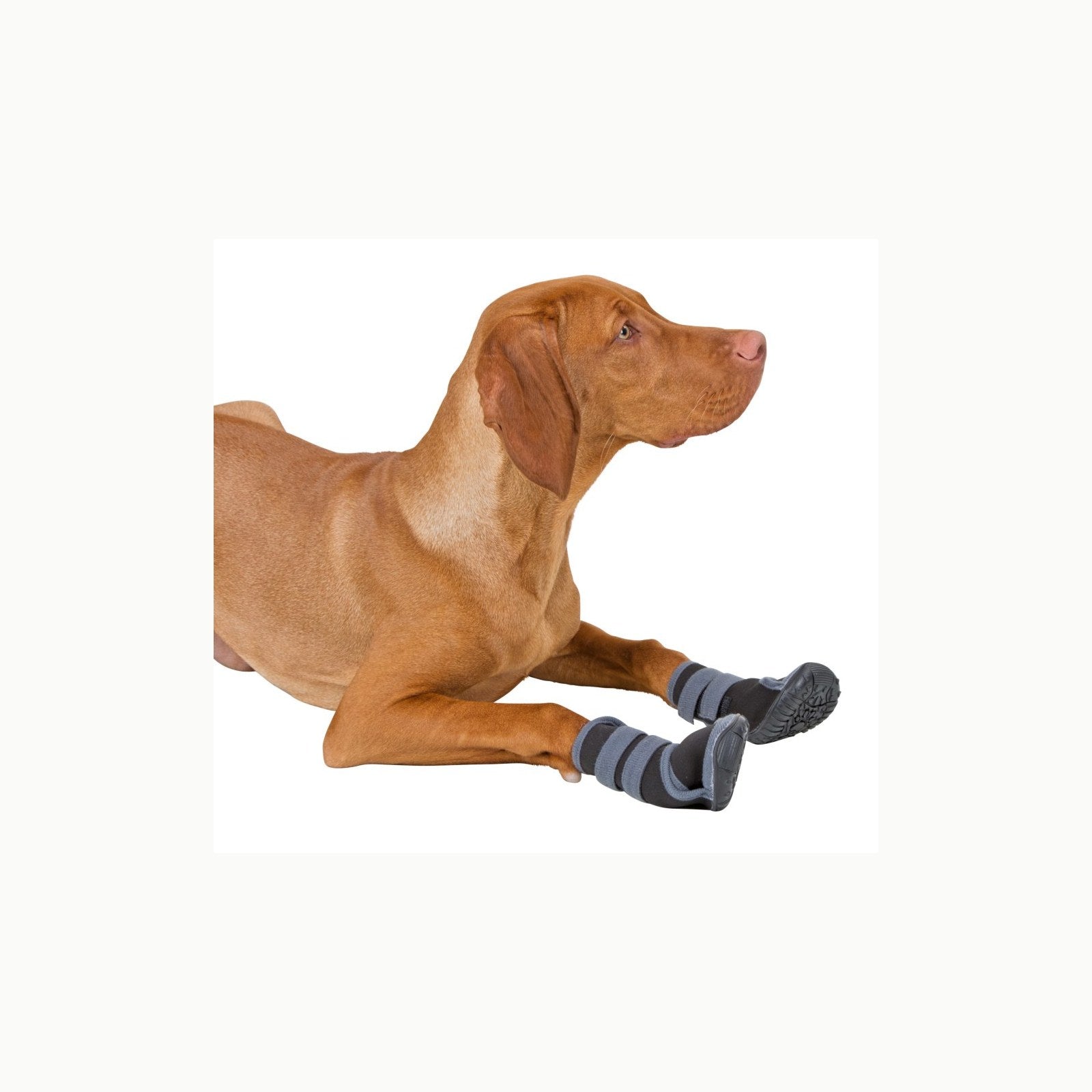Pfotenschutz Active XL Kerbl Pet Pfotenschutz Active Gr. XL, grau/schw
