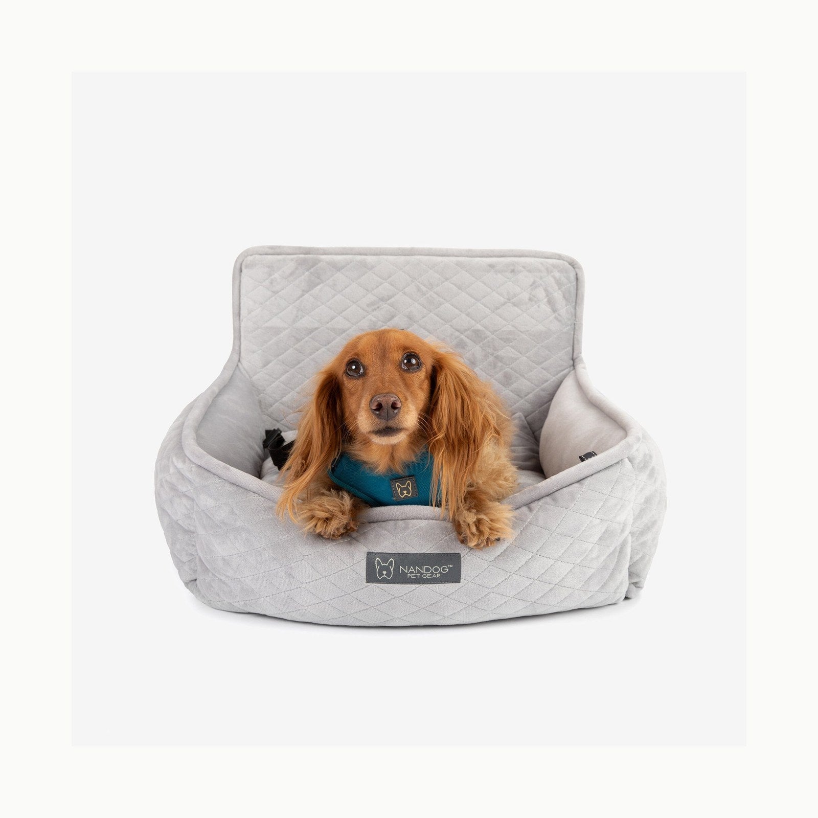 Asiento de Coche para Perro Grande de Menos de 25 kg o 2 Perros