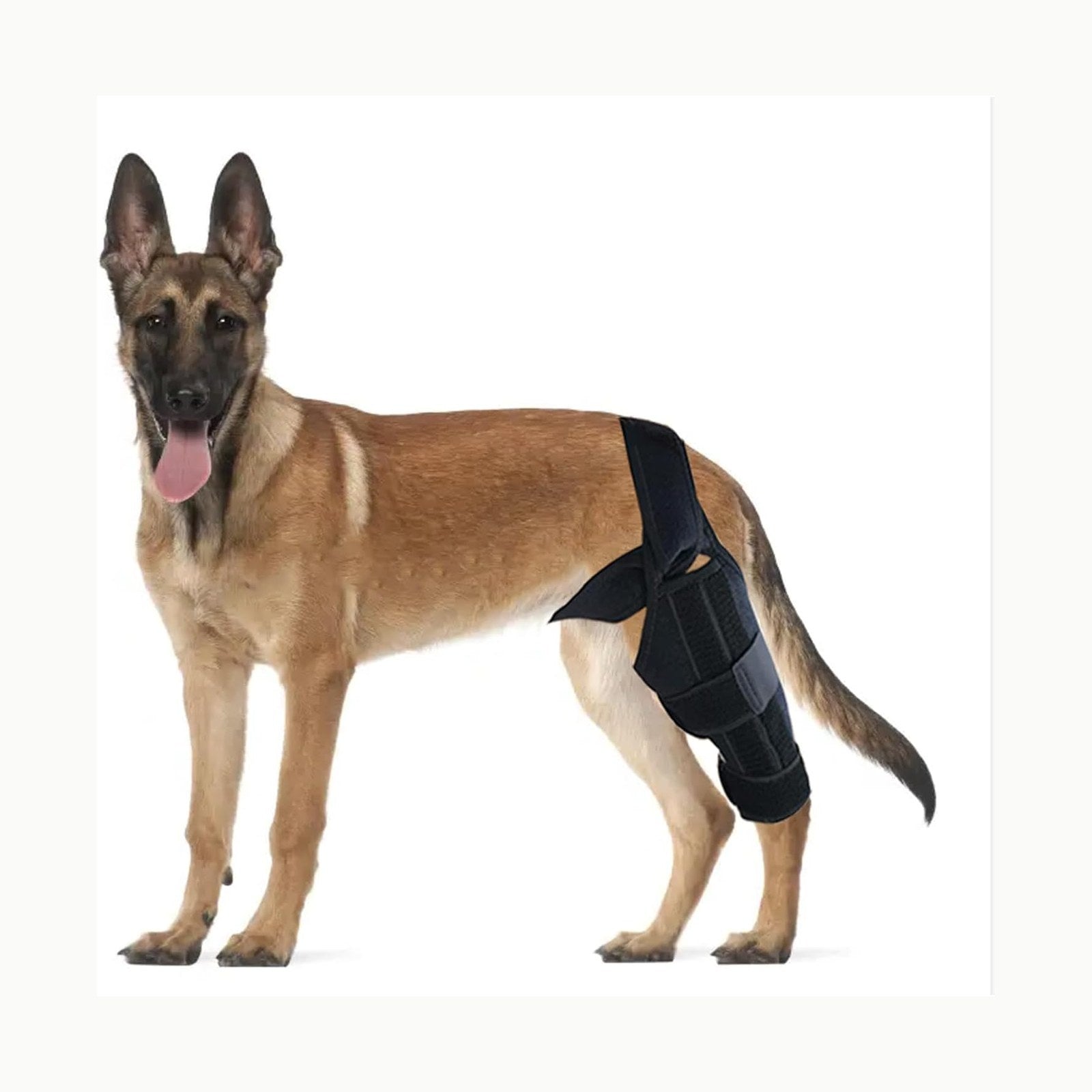 DKDDSSS Protector de Rodilla para Perros - Rodillera Perro Ajustable