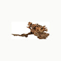Amtra Legno Mystic Wood Decoración Natural Para Acuarios, Paludarios y