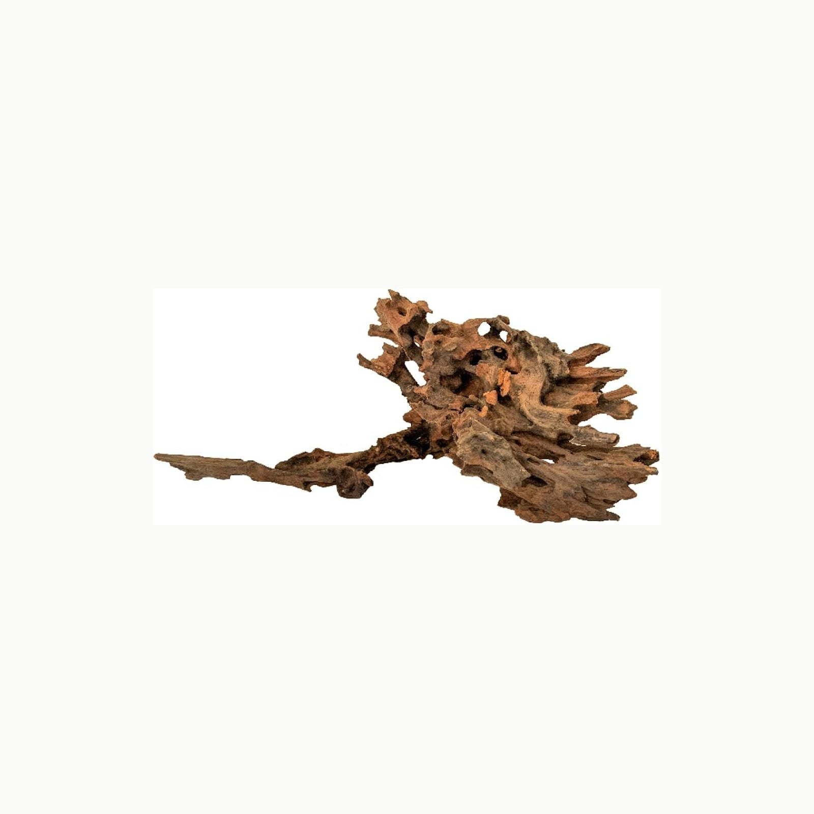 Amtra Legno Mystic Wood Decoración Natural Para Acuarios, Paludarios y