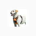 Eagloo Arnes Perro Grande Mediano, Arnes Antitirones Perro Antiescape,