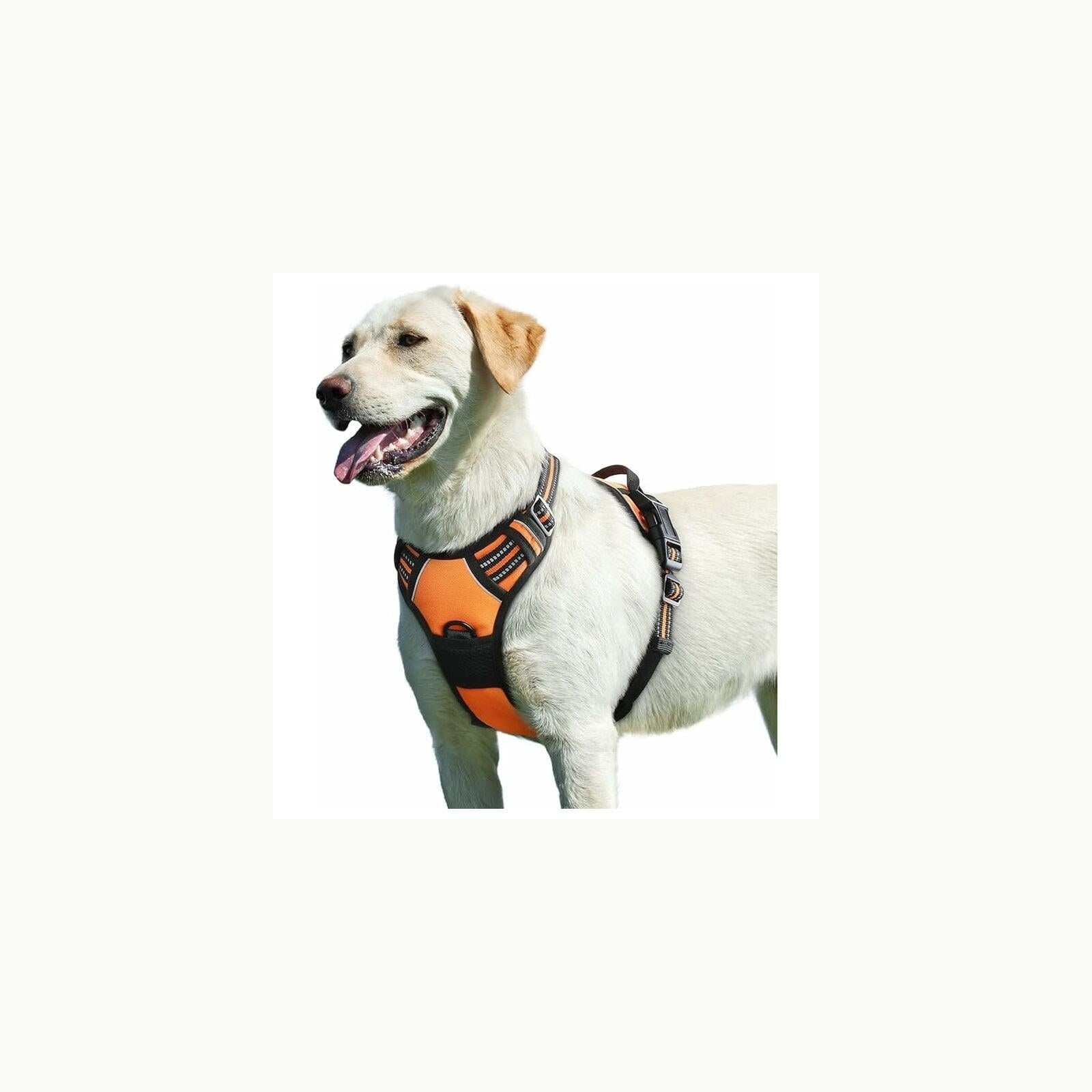 Eagloo Arnes Perro Grande Mediano, Arnes Antitirones Perro Antiescape,