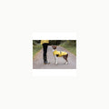 TRIXIE Impermeable Vimy para Perros