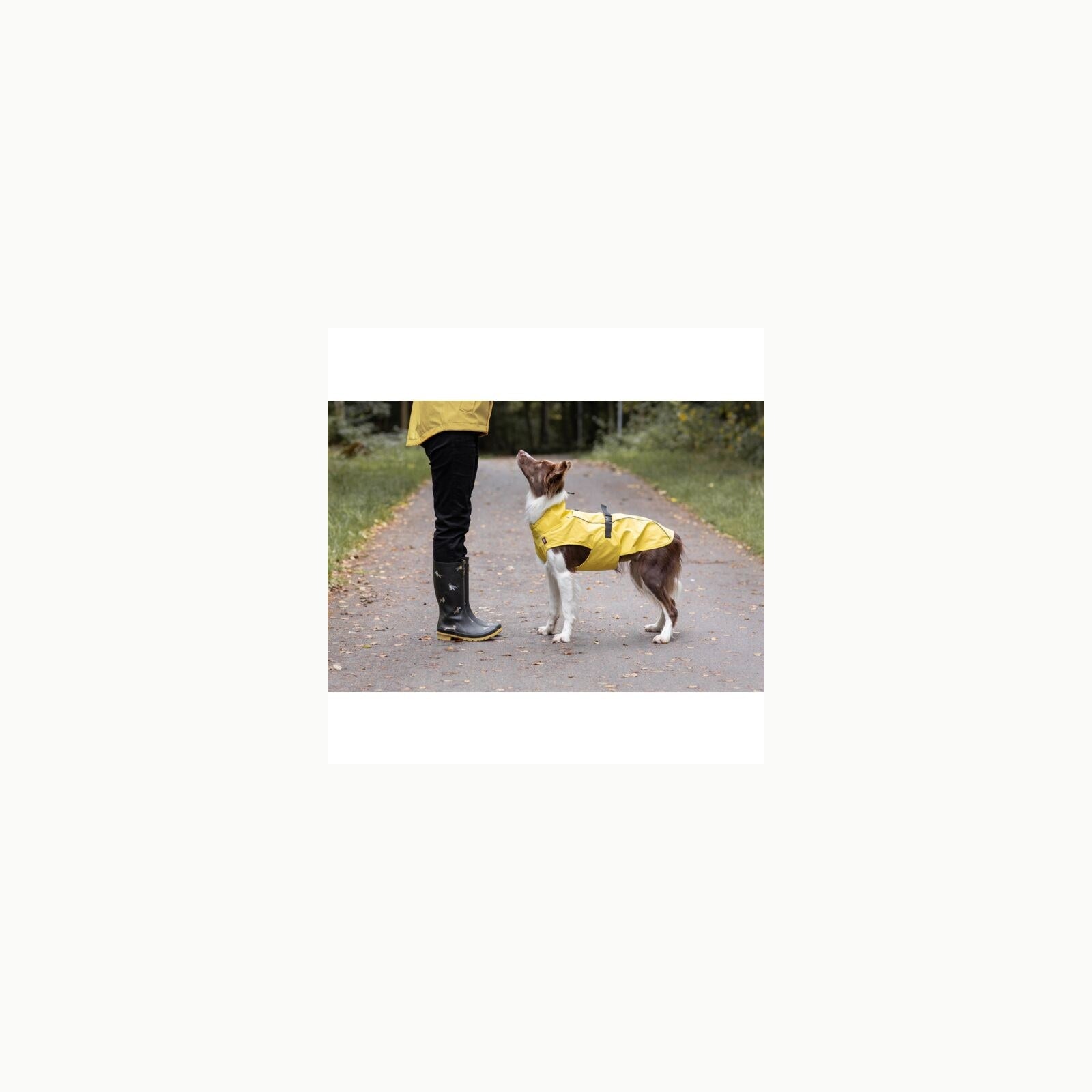 TRIXIE Impermeable Vimy para Perros