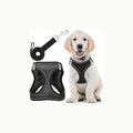EcoEarth Arnés pequeño negro Arnés para Perros con Correa - Pequeño