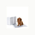 Amazon Basics Trainingspads für Hunde und Welpen, auslaufsicheres