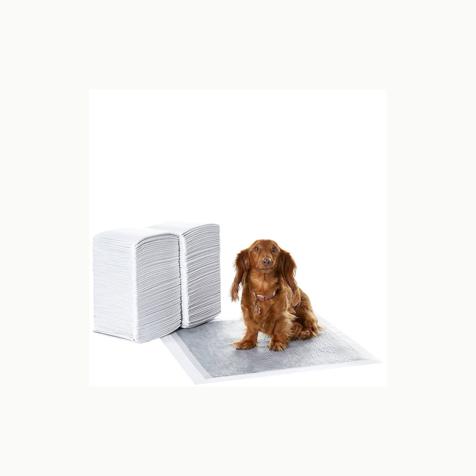 Amazon Basics Almohadillas de adiestramiento de Perros y Cachorros, di
