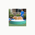 Piscina Desmontable para Perros Grandes y Pequeños - 100x30