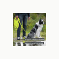 Correa de arrastre impermeable para perros, 3 m, 5 m, 7 m, 10 m, 15 m,