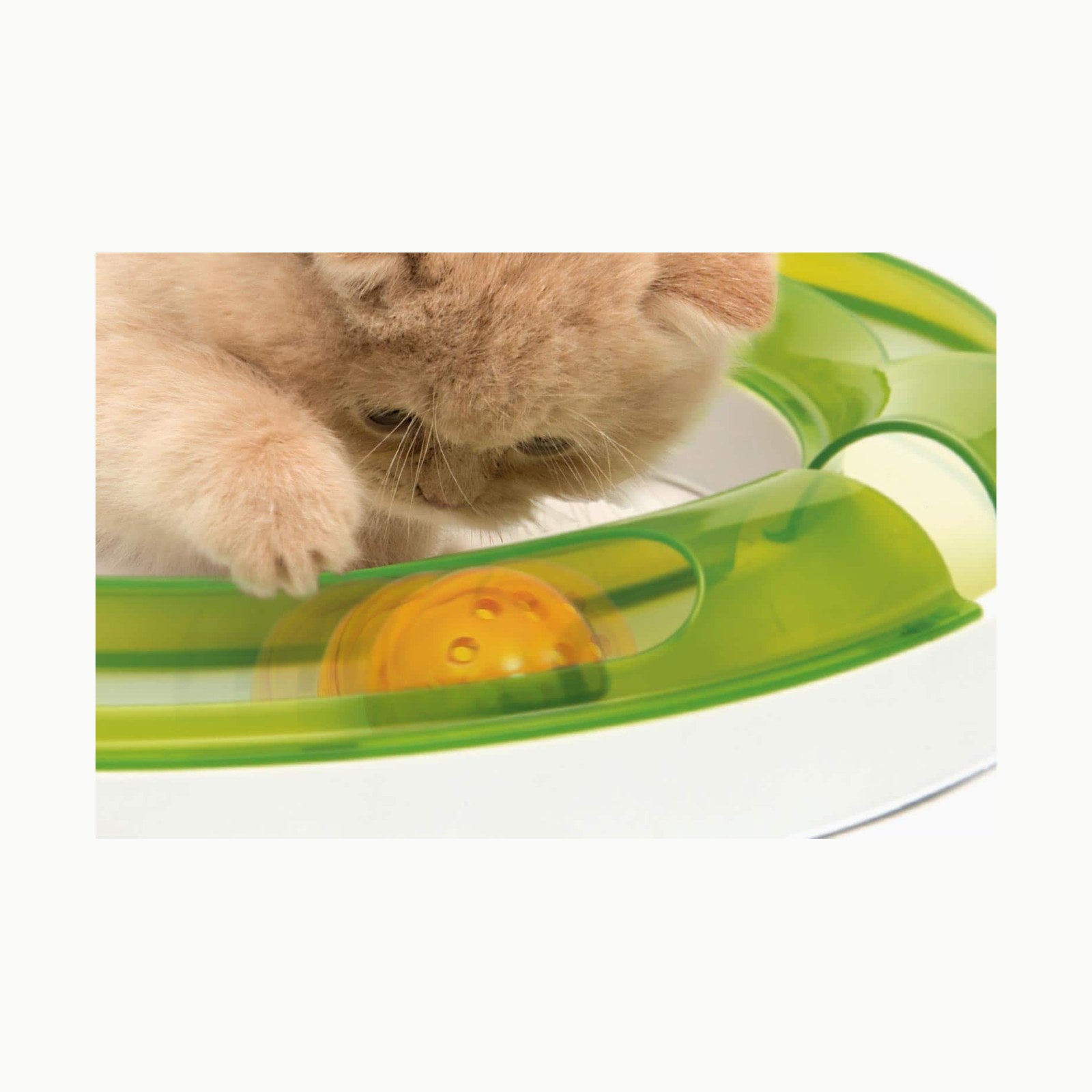 Catit Design Senses Spielschiene, Play Circuit, inklusive Ball, für Ka