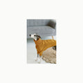 Jersey Whippet, Pijamas Whippet Suéter Whippet Abrigo de Invierno Whip