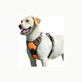 Eagloo Arnes Perro Mediano, Arnes Antitirones Perro antiescape, Chalec
