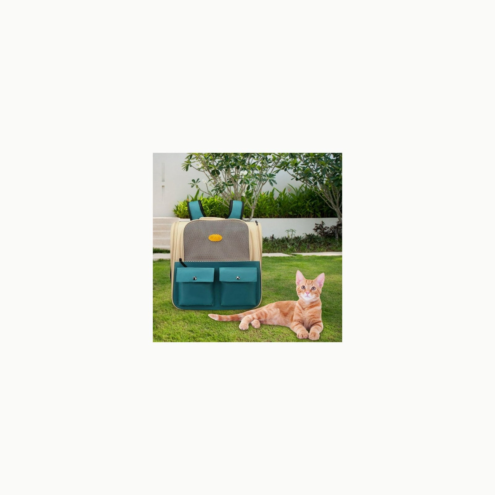 Transportín Plegable Bibykivn Transportín Perro Gato, Bolsa de Transpo