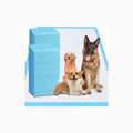 Amazon Basics Hunde-Pinkeltücher für das Töpfchentraining