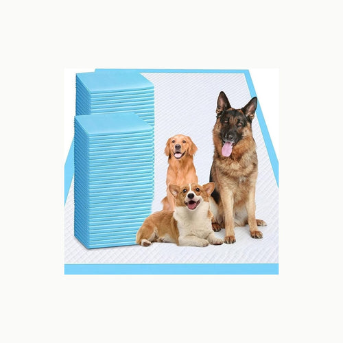 Amazon Basics Hunde-Pinkeltücher für das Töpfchentraining
