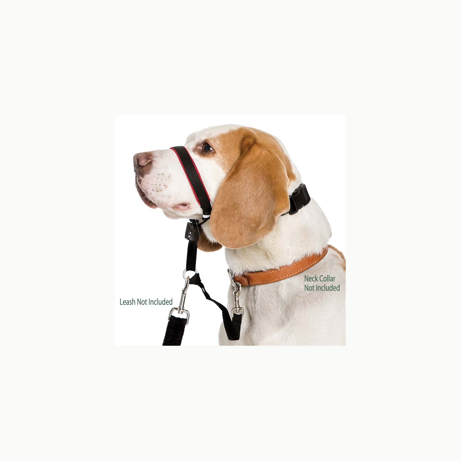Cavezza regolabile HALTI - Cavezza per impedire al cane di tirare al